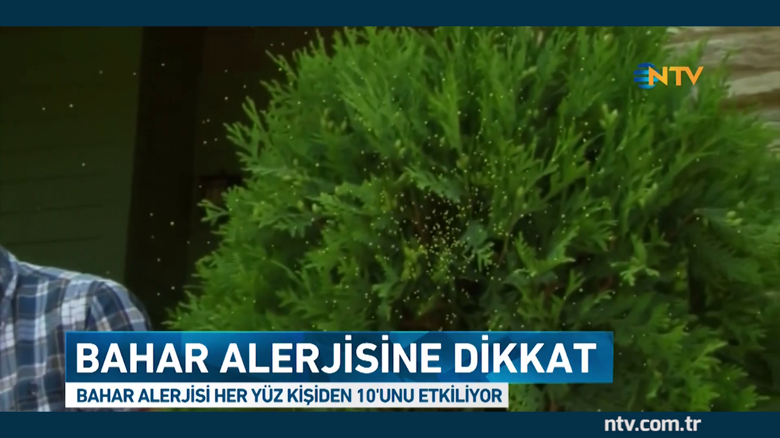 Bahar Alerjileri Ve Çözümü Bahar Alerjileri Ve Çözümü